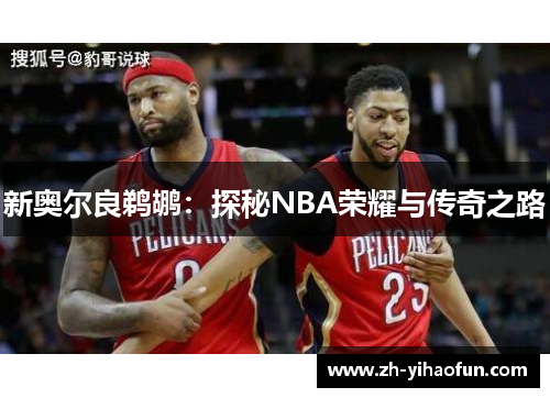 新奥尔良鹈鹕:探秘NBA荣耀与传奇之路 新奥尔良鹈鹕:探秘NBA荣耀与传奇之路